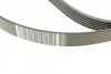<strong>Комплект пасу поліклинового 6 pk 1200 ролик 7701 RENAULT 117203694R (фото 4)</strong>