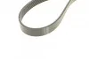 <strong>Комплект пасу поліклинового 6 pk 1200 ролик 7701 RENAULT 117203694R (фото 5)</strong>