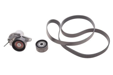 Комплект пасу поліклинового для Renault, Nissan, Vauxhall, Fiat, Opel RENAULT 117205040R фото товару