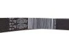 <strong>Комплект пасу поліклинового RENAULT 117205040R (фото 9)</strong>
