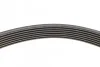 <strong>Ремкомплект ремня генератора 7PK1038 H4M Renault Duster II (17-) RENAULT 117205678R (фото 4)</strong>