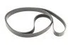 <strong>Комплект пасу поліклинового RENAULT 117206746R (фото 5)</strong>