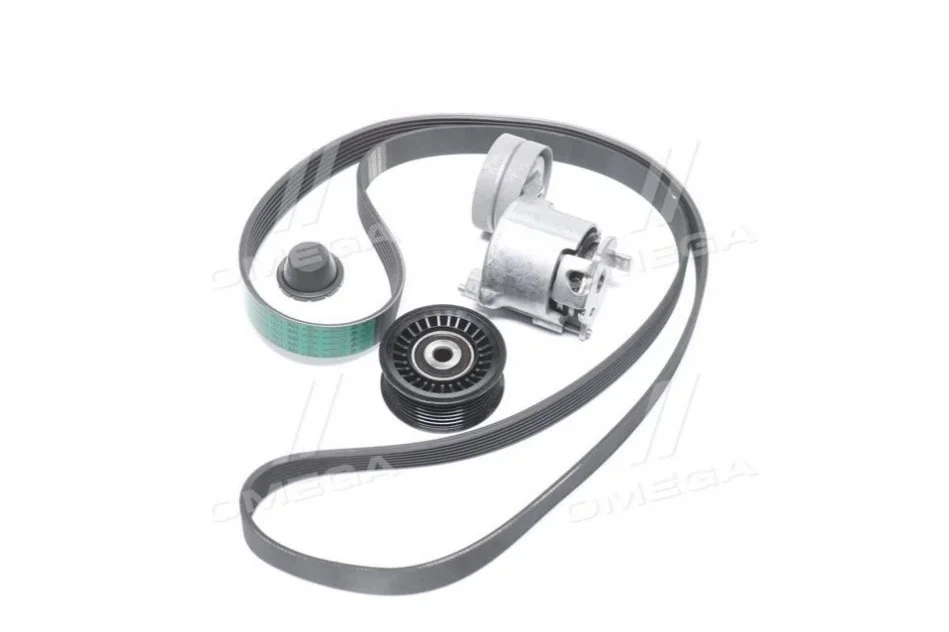 <strong>К-т ременя додатк. обладнання RENAULT 117207538R (фото 1)</strong>