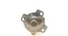 <strong>Насоси охолоджуючої RENAULT 210105857R (фото 4)</strong>