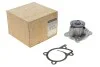 <strong>Водяний насос 1.2 TCe 16V Renault Megane III Renault RENAULT 210108030R (фото 1)</strong>