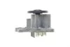 <strong>Водяний насос 1.2 TCe 16V Renault Megane III Renault RENAULT 210108030R (фото 2)</strong>