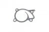 <strong>Водяний насос 1.2 TCe 16V Renault Megane III Renault RENAULT 210108030R (фото 5)</strong>