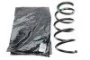 <strong>Пружина подвески передняя Renault Trafic III (14-) RENAULT 540101014R (фото 2)</strong>