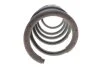 <strong>Пружина підвіски передня Renault Duster II (17-) Renault RENAULT 540108891R (фото 3)</strong>
