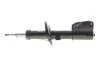 <strong>Амортизатор підвіски передній Renault Trafic II III, Opel Vivaro B Renault RENAULT 543022006R (фото 1)</strong>