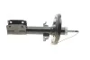 <strong>Амортизатор передній Renault Scenic III 09- (газ) RENAULT 543022646R (фото 4)</strong>