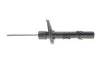 <strong>Амортизатор передній Renault Megane IV (16-) Renault RENAULT 543028559R (фото 1)</strong>