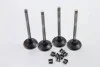 <strong>Клапан впуск. 1.9dCi Trafic 01-/Kangoo/Master 00-/Megane 97- (к-кт 4шт.) RENAULT 7701471702 (фото 1)</strong>