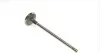 <strong>Клапан двигуна впускний Master/Movano/Trafic 2.2/2.5 dTi/dCi 00- Renault RENAULT 7701472669 (фото 6)</strong>