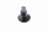 <strong>Болт з головкою системи TORX з чорного металу RENAULT 7703004176 (фото 1)</strong>