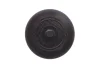 <strong>Заглушка блока Master 2.5dCi (43.5mm) RENAULT 7703075328 (фото 1)</strong>