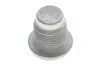 <strong>Пробка піддона двигуна m16х1,5 6-8 RENAULT 7703075348 (фото 1)</strong>