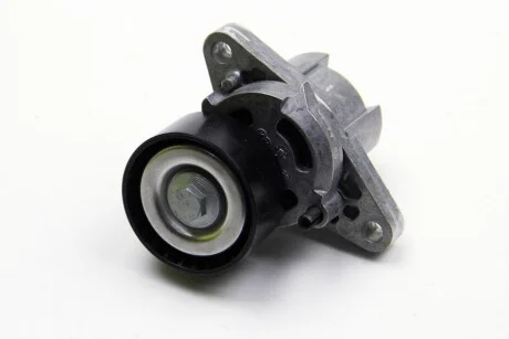 Натягувач ременя генератора Kangoo/Logan 1.4/1.6i 97- (+AC) для RENAULT 8200603359 фото товару