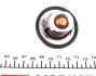 <strong>Термостат Duster/Logan/Clio/Kangoo/Megane I, II, III 1,4/1.6/2.0i 98- (88 C) RENAULT 8200772985 (фото 4)</strong>