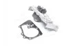 <strong>Насос системи охолодження duster clio ii kangoo i RENAULT 8660003264 (фото 1)</strong>