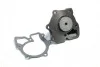 <strong>Насос водяний FORD TRANSIT (2.5TD) 91-00 RIDER RD.150165293 (фото 1)</strong>