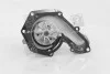 <strong>Насос водяний RENAULT KANGOO 98-, TRAFIC 97-01 RIDER RD.150165533 (фото 3)</strong>
