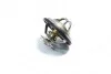<strong>Термостат VW PASSAT 96-05, AUDI 80,100,A4,A6 RIDER RD.1517590287 (фото 1)</strong>