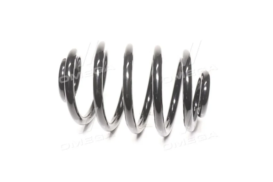 <strong>Пружина підв. RENAULT CLIO 98-05 задн. RIDER RD.28110046 (фото 1)</strong>