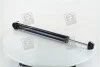 <strong>Амортизатор підв. SKODA Fabia 01-/VW Polo 01-09 задн. RIDER RD.2870.343.328 (фото 1)</strong>