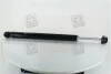 <strong>Амортизатор підв. SKODA OCTAVIA 97-/Fabia задн. RIDER RD.2870.343.348 (фото 3)</strong>