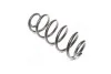 <strong>Пружина підв. Audi A4, A6, VW Passat 98-05 передн. (2,5TDI) RIDER RD.34110003 (фото 3)</strong>