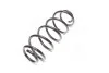 <strong>Пружина підв. AUDI A4,A6, VW PASSAT 96-00 передн. RIDER RD.34110004 (фото 4)</strong>
