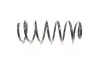<strong>Пружина підв. VW Golf IV 97-05 передн. (1,9TDI) RIDER RD.34110062 (фото 1)</strong>