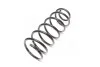 <strong>Пружина підв. VW Golf IV 97-05 передн. (1,9TDI) RIDER RD.34110062 (фото 2)</strong>