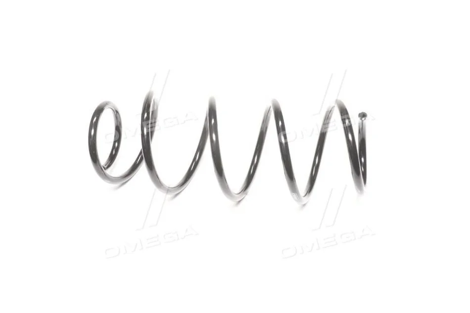 <strong>Пружина підв. FORD FIESTA 04-08 передн. RIDER RD.34110080 (фото 1)</strong>