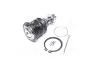 <strong>Опора кульова TOYOTA YARIS 99- RIDER RD.4806809080 (фото 2)</strong>