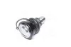 <strong>Опора кульова FORD FIESTA VI, B-MAX 08- RIDER RD.99351737309 (фото 3)</strong>