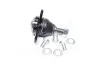 <strong>Опора кульова CITROEN JUMPER, PEUGEOT BOXER 06- RIDER RD.993531196 (фото 1)</strong>