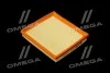 <strong>Фільтр повітряний ExtraClean VAG RIDER REC130095 (фото 1)</strong>