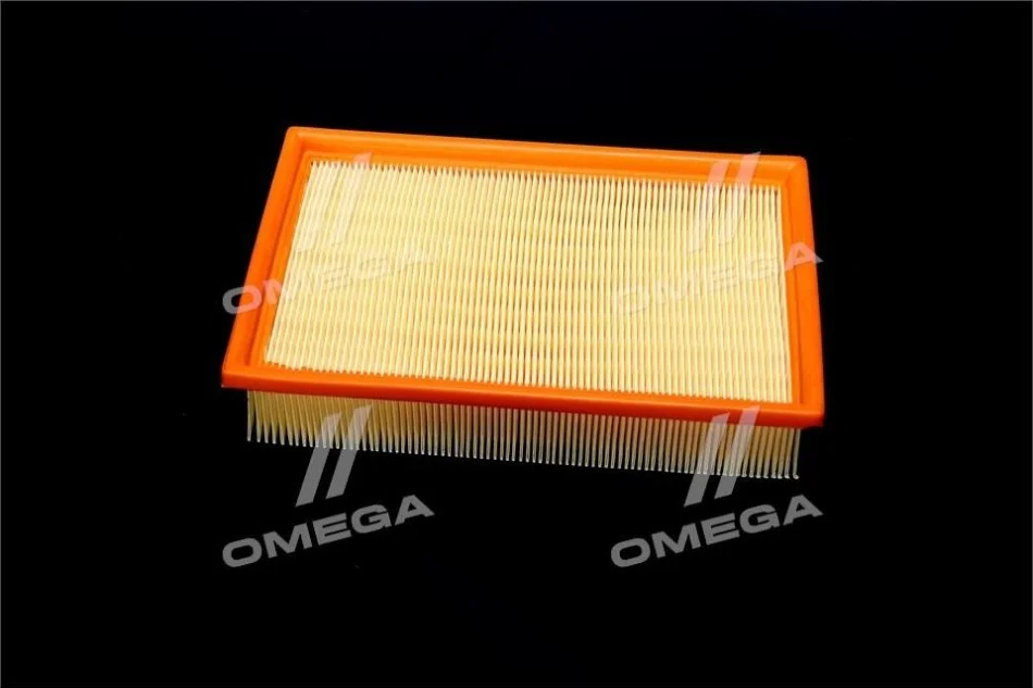 <strong>Фільтр повітряний ExtraClean FORD RIDER REC130242 (фото 1)</strong>
