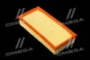 <strong>Фільтр повітряний ExtraClean FIAT RIDER REC130259 (фото 1)</strong>