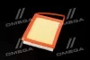 <strong>Фільтр повітряний ExtraClean CITROEN, PEUGEOT RIDER REC200420 (фото 2)</strong>
