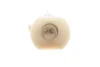 <strong>Автолампа Ring R508TVWH (фото 2)</strong>