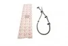 <strong>Шланг ROTWEISS RW07022 (фото 1)</strong>