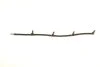 <strong>Шланг ROTWEISS RW07024 (фото 6)</strong>