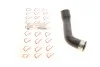 <strong>Патрубок системи охолодження ROTWEISS RW50047 (фото 1)</strong>