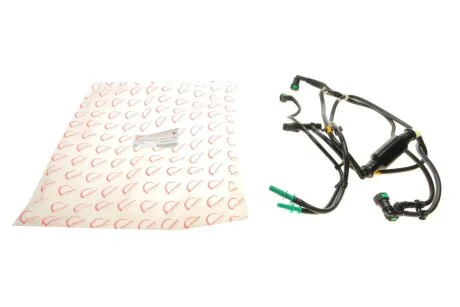 Комплект трубок паливної системи для Citroen, Peugeot ROTWEISS RWS2449 фото товару