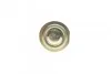 <strong>Опора кульова Renault Twingo 14-> / Smart 453 14-> RTS 93-09206 (фото 2)</strong>