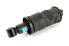 <strong>Амортизатор задньої кабіни MAN, STEYR SACHS 313 183 (фото 1)</strong>