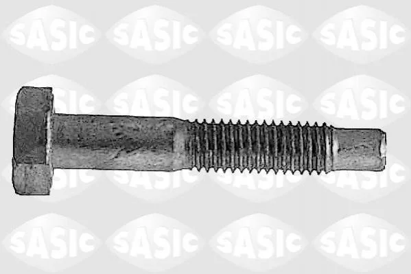 <strong>Болт кріплення шарової опори Peugeot 206/207 98-> SASIC 5223433 (фото 1)</strong>